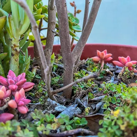 Villa Maison Familiale - *